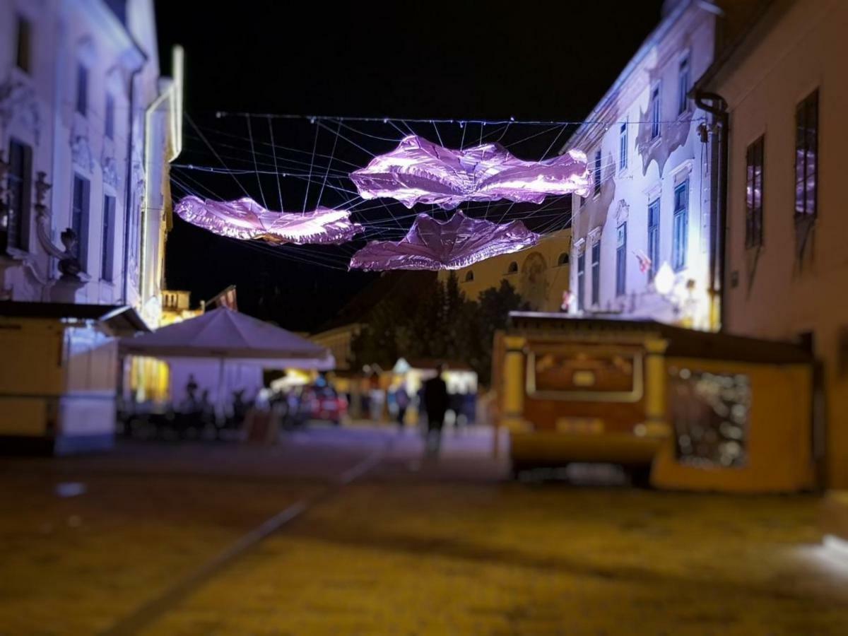 Apartman Ivana Varasd Kültér fotó